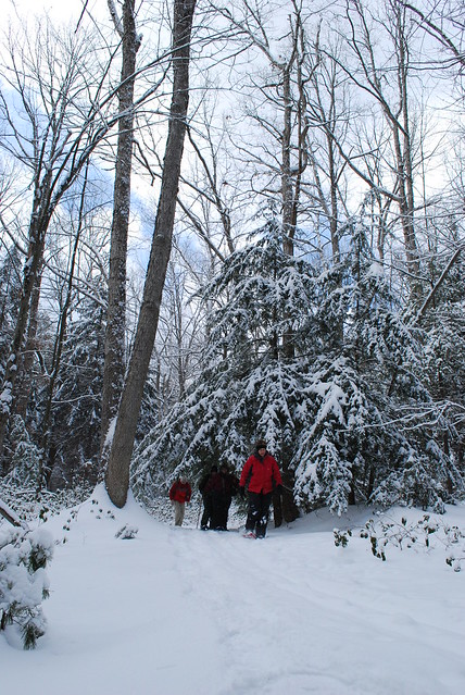 Fresh snow for snowshoeing Pennsylvania State Parks