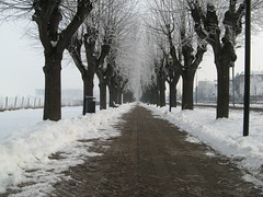 Neve e inverno