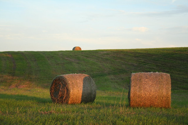 Two Bales and One on a Hill
