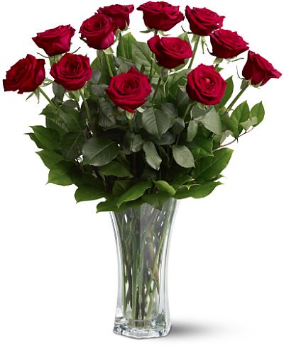 Cheap Flowers Delivered on Discount Flower Delivery Detroita Dozen Premium Roses   Flickr   Photo