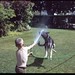 Boy, hose and dog vintage slide