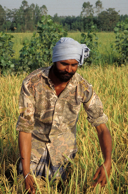 Farmer from India