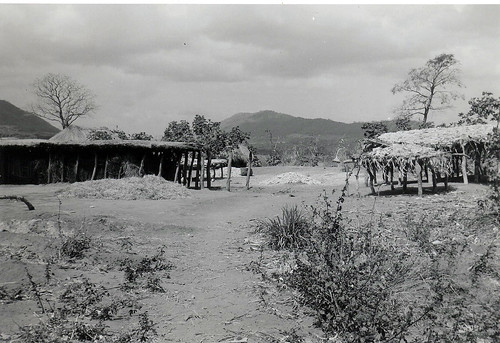 Wagogo shamba, Dodoma Region, Tanzania. 1968. View on black.
