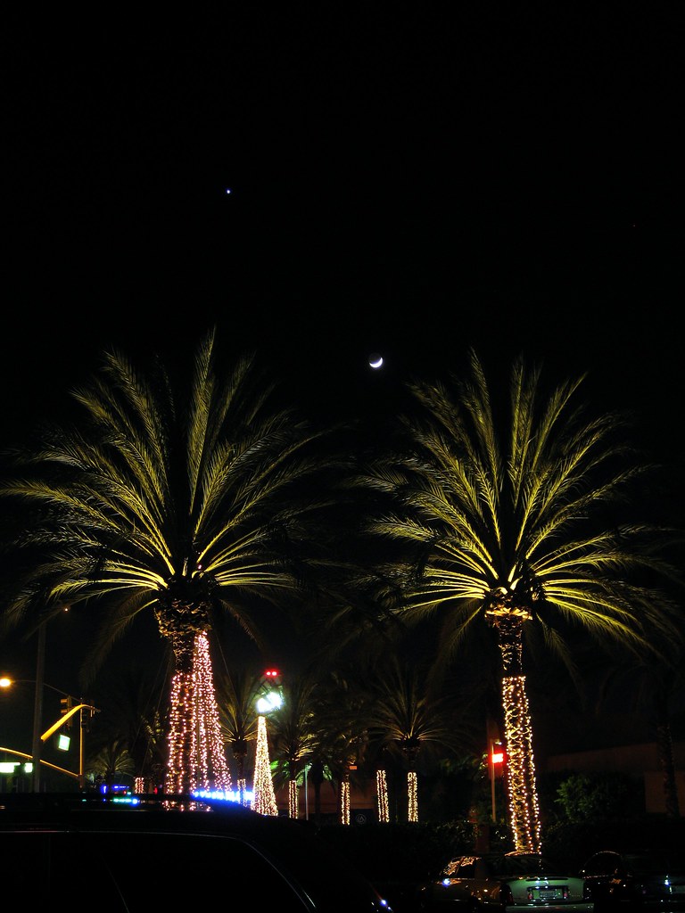 Moon and Venus Above Palm Trees