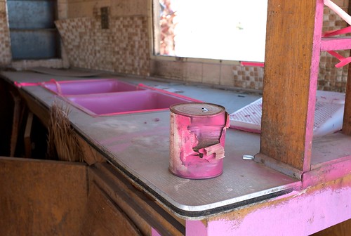 Pink Paint | The Salton Sea