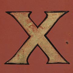letter X by Leo Reynolds