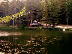 Dipsiz Göl