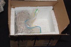 How NOT to pack your herps for shipping
