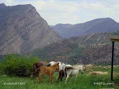  Nature & Landscapes kurdistan 