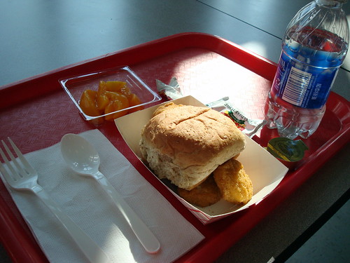School Lunch (image: krikketgirl/flickr)