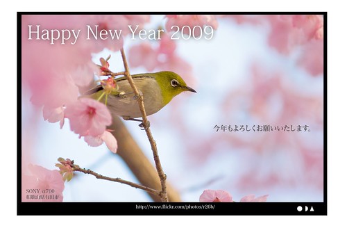 Happy New Year 2009 - 無料写真検索fotoq