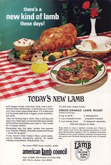 Lamb / mutton