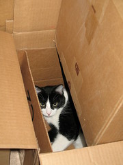 Oliver in Nested Boxes