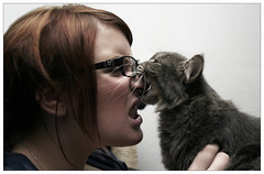 cat biting girl's nose