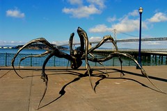 Crouching Spider by Louise Bourgeois (San Francisco)