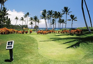 Golf Courses Area with Tropical View
