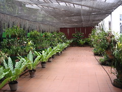 botanical gardens of sri lanka