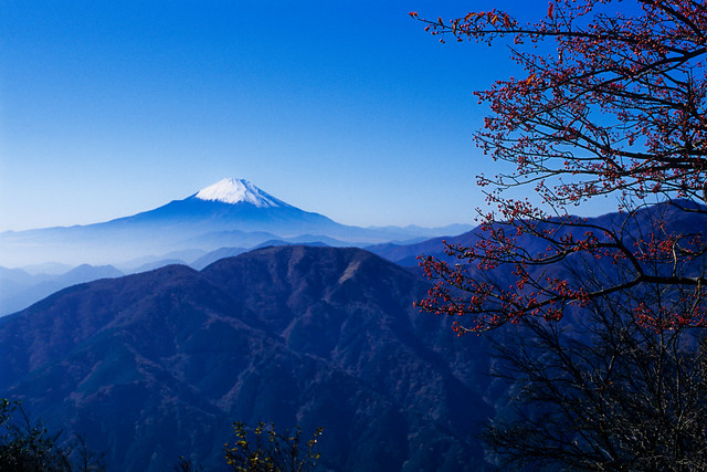 富士山，大山国定公園，日本 - 無料写真検索fotoq