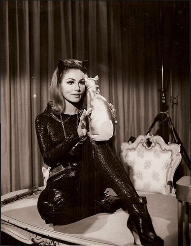by Catwoman Julie Newmar