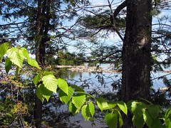 Morris Island Conservation Area, Ontario