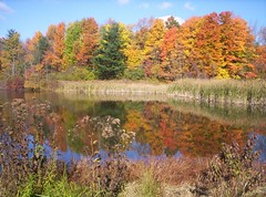 Autumn in Ohio