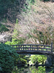 Japanese Gardens Portland
