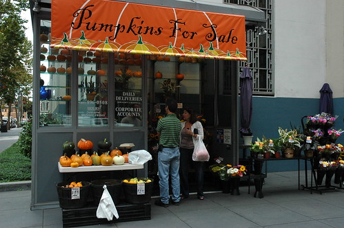 Pumpkins for Sale, near the Embarcadero, florist, San Francisco, California, USA by Wonderlane