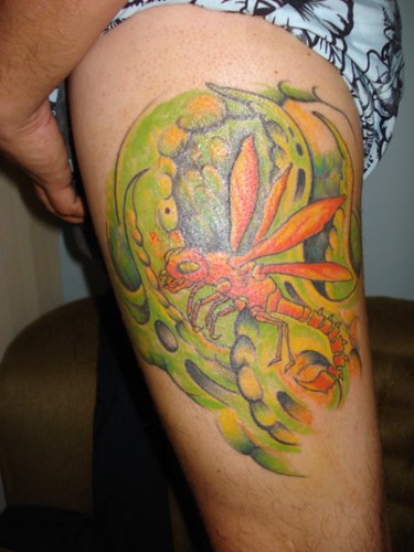 dragon fly tattoo exotic tattoo medellin 