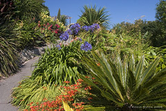 Ventnor Botanic Gardens