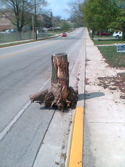 bike lane blocked by a stump