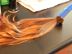 lily's hair donation