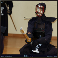 2008-06-28 Zanshin Kendo
