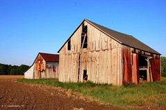 Advertisement, Barn, Mail Pouch
