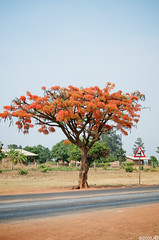 Mufulira, Zambia