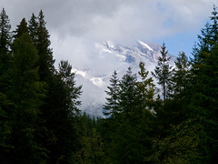 Mount Rainier Field Trip