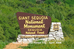 2008 Sequoia National Park