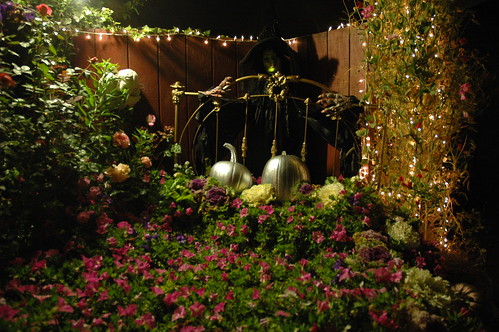 Witch behind the Bed of Flowers with Pumpkins, Mill Rose Inn, Half Moon Bay, California, USA by Wonderlane