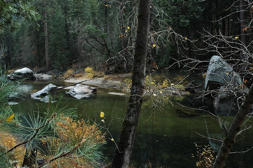 Island like rocks in a calm green river, winter, Yosemite National Park, California, USA by Wonderlane