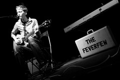 The Feverfew at The Black Cat