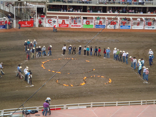 Calgary stampede - the big rodeo