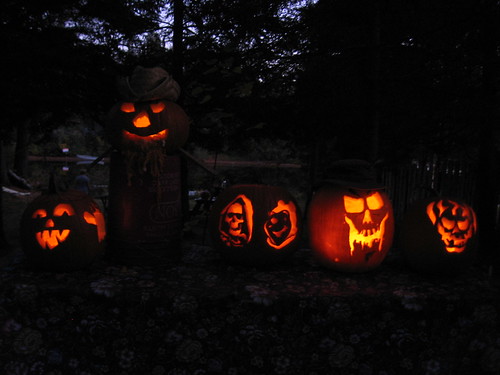 Pumpkins in a row!