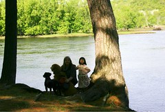 Olivia Dogs and Me by St. Croix River