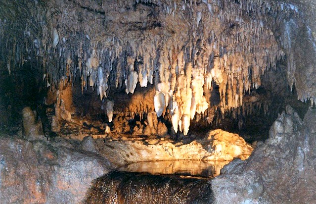 Stalactites and Stalagmites in Harrison Cave, Barbados