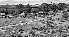 Namaqualand in black and white