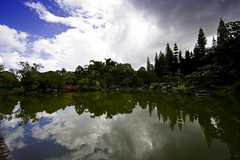 Jardín Botánico de Santo Domingo