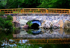 The Morikami - Japanese Gardens
