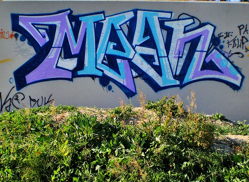 P1180153-graffitis by pelz