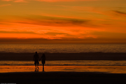 couple-hold-hands-in-silhouette-at-sunset-16nov2008