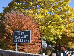 New Calvary Cemetery, Mattapan, MA