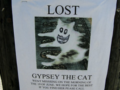 Lost Pet Posters